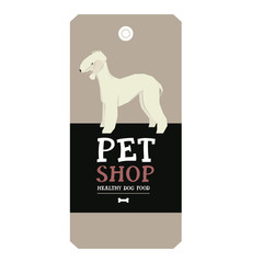 Poster Pet Shop Design label Bedlington Terrier Geometric style