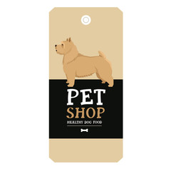 Poster Pet Shop Design label Norwich Terrier Geometric style
