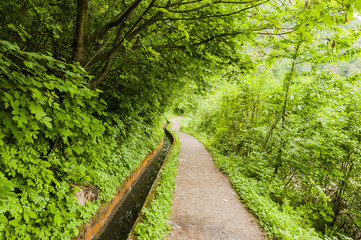 Fototapeta premium Marling, Waalweg, Marlinger Waalweg, Wanderweg, Wald, Waldweg, Frühling, Wasserversorgung, Vinschgau, Südtirol, Italien