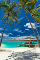 Hammock between palm trees on a tropical beach, Maldives