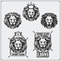Labels, emblems and design elements for sport club with lion.