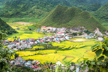 View of small village Fairy bosom in Tam Son town, Quan Ba District, Ha Giang Province, Vietnam.  colorful mixture of paddy fields and house roofs.Twin mountain,double mountain