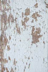 Cracked paint old wood background
