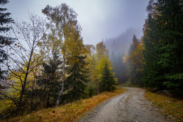 Fototapeta na wymiar Misty mountain, Central Romania, Europe