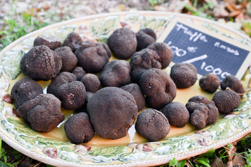 truffes