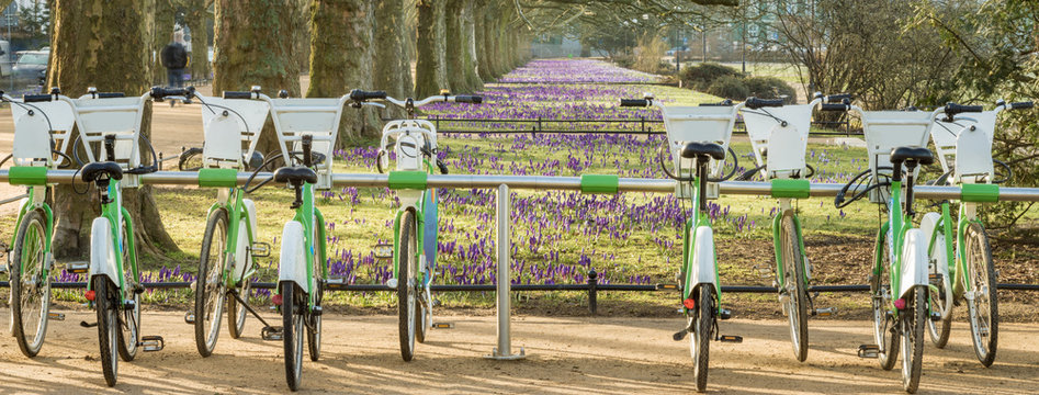 City bike rental station in spring park