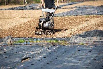 Obraz premium Man using a mechanical hoe or rotovator