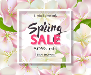 Spring sale background with flowers. Season discount banner design with cherry blossoms and petals.