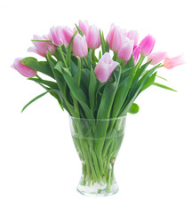 Bouquet of fresh pink tulips in glass vase isolated on white background