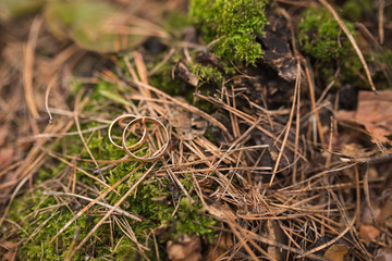 Two wedding rings on grass