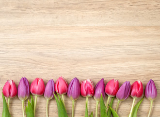 Tulpen auf Holz