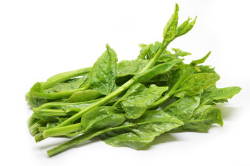 Green Ceylon Spinach
