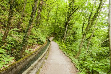 Obraz premium Marling, Dorf, Waalweg, Wanderweg, Marlinger Waalweg, Wald, Waldweg, Naturweg, Frühling, Frühlingsfarben, Vinschgau, Südtirol, Italien