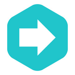 Arrow Sign Flat Hexagon Icon