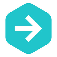 Arrow Sign Flat Hexagon Icon