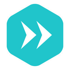 Arrow Sign Flat Hexagon Icon