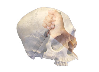 Double exposure hand holding a knife ready to strike down with skull on white background