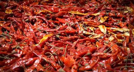 Close up of Chili peppers drying in the sun, Panauti, Nepal