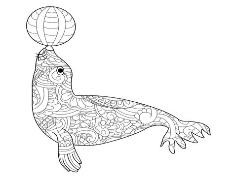 recommend clip art: Fur seal coloring vector for adults
