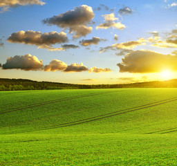 Spring rural landscape. Rolling field at sunset in Czech Republic.