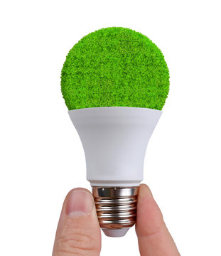 Hand  holding eco LED bulb isolated on white background. Energy saving lamp.