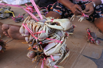 Crabs for sale in a local market in Fiji