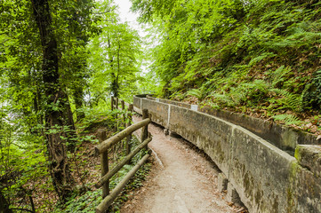 Fototapeta premium Marling, Waalweg, Wanderweg, Marlinger Waalweg, Wasserversorgung, Wald, Waldweg, Frühling, Vinschgau, Südtirol, Italien