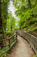 Fototapeta premium Marling, Wanderweg, Waldweg, Waalweg, Marlinger Waalweg, Wald, Frühling, Frühlingswanderung, Vinschgau, Südtirol, Italien