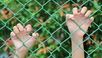 Hands touching a metal fence - obrazy, fototapety, plakaty