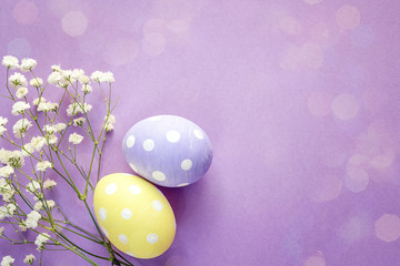 Yellow and purple Easter eggs and white flowers on violet background.