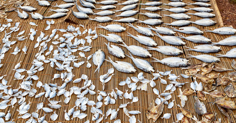  lots of fish salted and dry preparation for the market