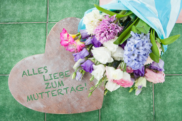 Verschiedene bunte Freuhlingsblumen