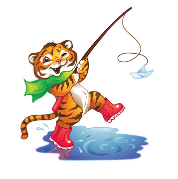 Happy tiger walking in rubber boots through puddles.Isolated on white background.