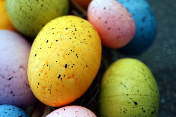 Ostereier arrangiert