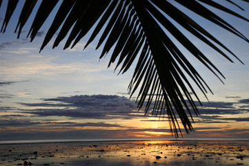 Sunset landscape view of the Coral Coast Fiji