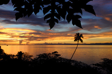 Landscape of a tropical beach in Vanua Levu Island Fiji