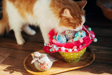 Basket with Easter eggs and domestic cat