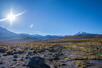 Chilenische Steppe