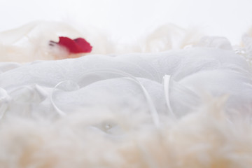 Fototapeta na wymiar Cuscino bianco per fedi da matrimonio