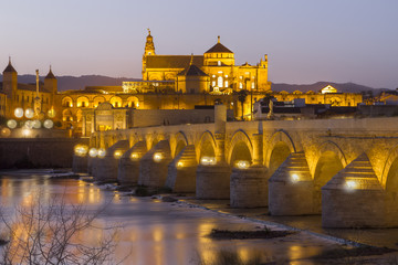 Fototapeta na wymiar Roman bridge, Cordoba, Spain with bokeh effect.