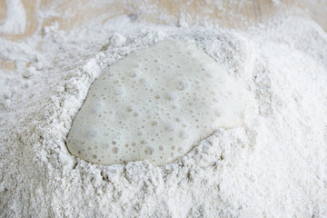 Whole Wheat Flour and Yeast
