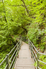 Obraz premium Marling, Dorf, Marlinger Waalweg, Waalweg, Wanderweg, Spazierweg, Wald, Waldweg, Brücke, Frühling, Vinschgau, Südtirol, Italien