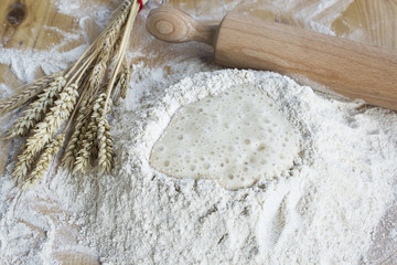 Whole Wheat Flour and Yeast