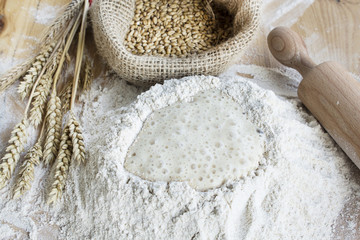 Whole Wheat Flour, Yeast and Wheat