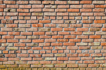Obraz premium Brick wall background texture