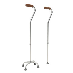 Walking stick isolated on white - 3d rendering.