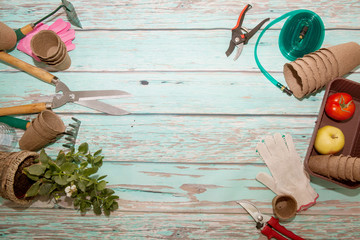Gardening tools pots for seedlings on a wooden board in a rustic style. Copy and top view.
