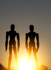 two wood robot in morning sun