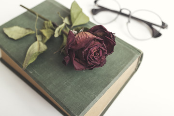 Old book with beautiful red dried roses