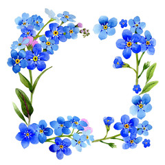 Wildflower myosotis arvensis flower frame in a watercolor style isolated.